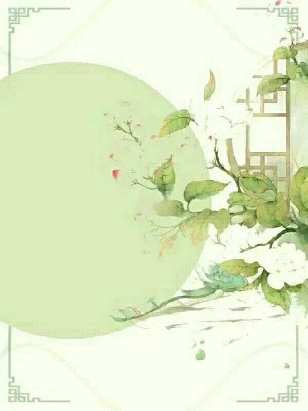 重生之重瞳 小说