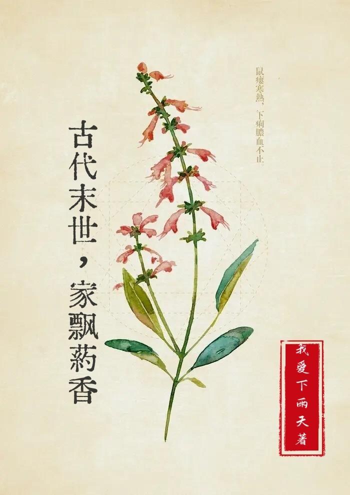 穿越末世,带领全家自救