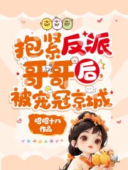 抱紧反派哥哥后,被宠冠京城