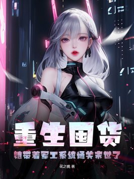 重生带着军火库小说
