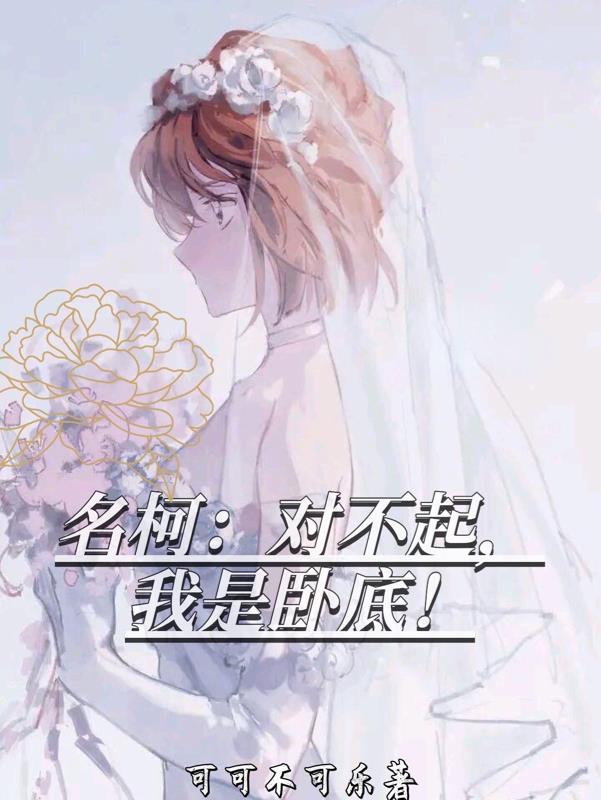 名柯：对不起,我是卧底！