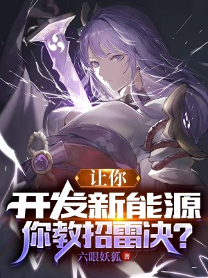 让你开发新能源,你教招雷决？