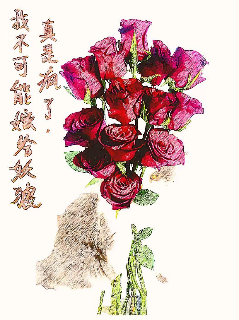 真是疯了,我不可能嫁给妖狼