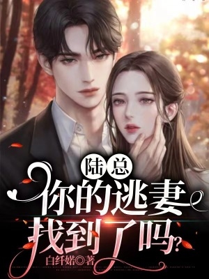 陆总,你的逃妻找到了吗？