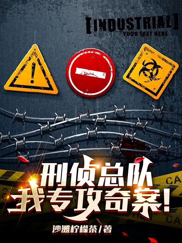 刑侦总队长是什么