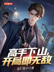 高手出山txt