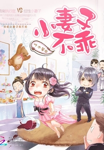 首席执行官,小妻子不乖
