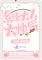 系统大人太帅气