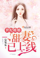 世纪暖婚:甜妻,已上线