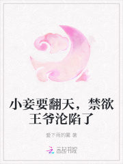 小妾要翻天,禁欲王爷沦陷了