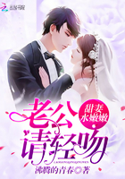 甜妻水嫩嫩：老公,请轻吻