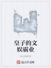皇子文小说